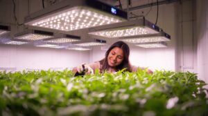 Best LED Grow Lights