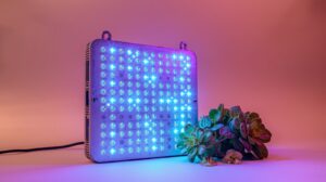 Where Can You Buy Quality Affordable LED Grow Lights? 2026 Update